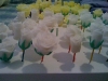 Wedding Cake Roses